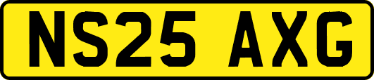 NS25AXG