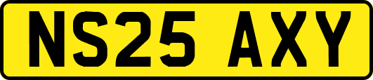 NS25AXY