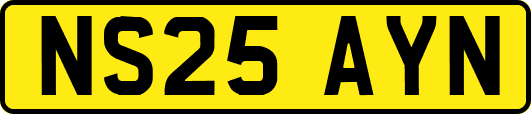 NS25AYN