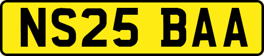 NS25BAA