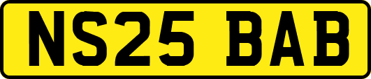 NS25BAB