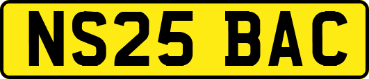 NS25BAC