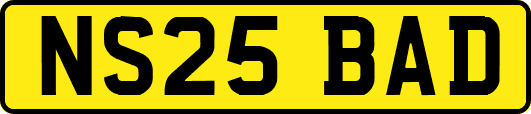NS25BAD