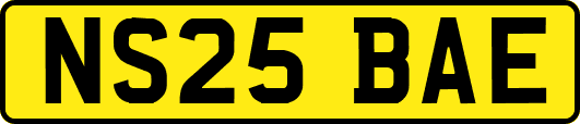 NS25BAE