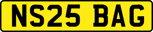 NS25BAG
