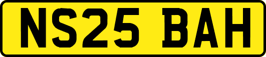 NS25BAH