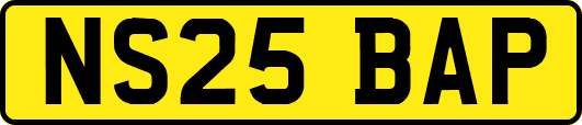 NS25BAP