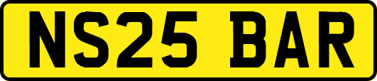 NS25BAR