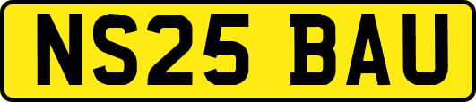 NS25BAU