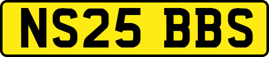NS25BBS