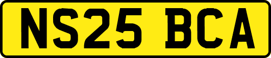 NS25BCA
