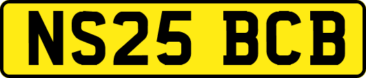NS25BCB