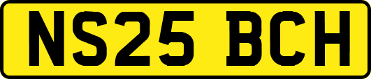 NS25BCH
