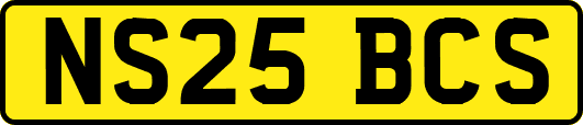 NS25BCS