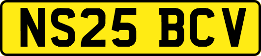 NS25BCV