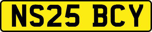 NS25BCY