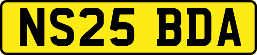 NS25BDA