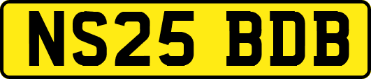 NS25BDB