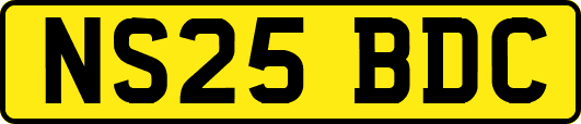 NS25BDC