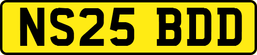 NS25BDD