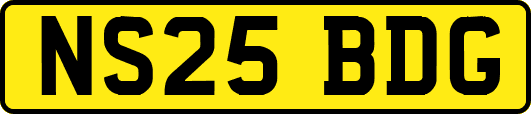 NS25BDG
