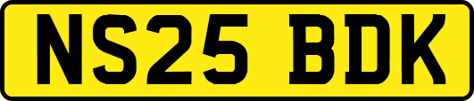 NS25BDK