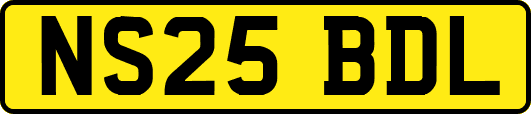 NS25BDL