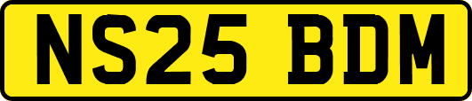 NS25BDM