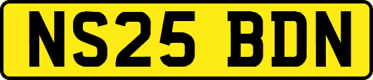 NS25BDN