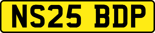 NS25BDP