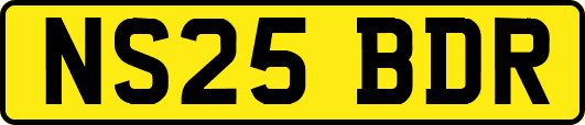 NS25BDR