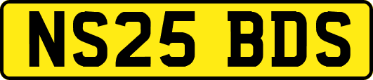 NS25BDS