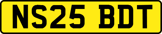 NS25BDT