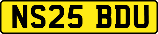 NS25BDU