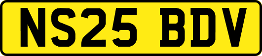 NS25BDV
