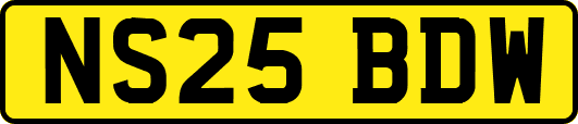 NS25BDW