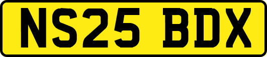 NS25BDX