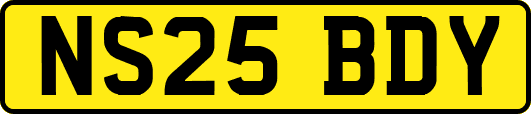 NS25BDY