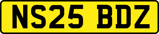 NS25BDZ