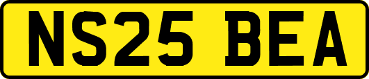 NS25BEA