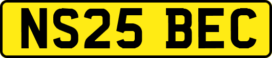 NS25BEC