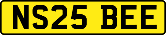 NS25BEE