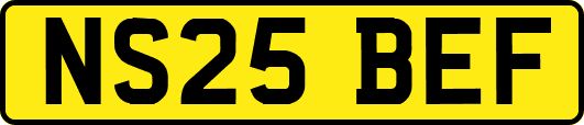 NS25BEF