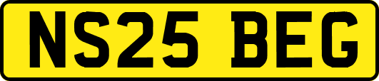 NS25BEG