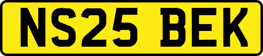 NS25BEK