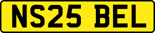 NS25BEL