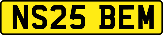 NS25BEM