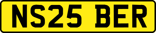NS25BER