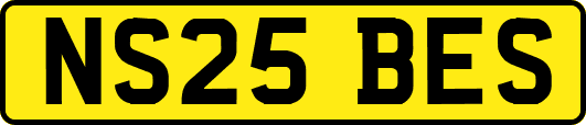 NS25BES