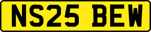 NS25BEW
